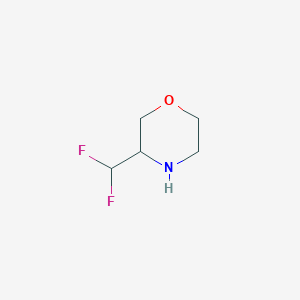 molecular formula C5H9F2NO B13537979 3-(Difluoromethyl)morpholine 