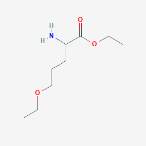 Ethyl 2-amino-5-ethoxypentanoate