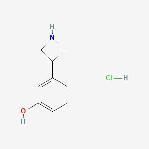 molecular formula C9H12ClNO B13539980 3-(Azetidin-3-yl)phenolhydrochloride 