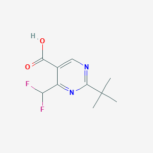 molecular formula C10H12F2N2O2 B13540856 2-(Tert-butyl)-4-(difluoromethyl)pyrimidine-5-carboxylic acid 