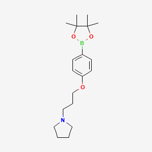 1-{3-[4-(Tetramethyl-1,3,2-dioxaborolan-2-yl)phenoxy]propyl}pyrrolidine