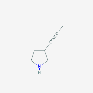 molecular formula C7H11N B13541665 3-(Prop-1-yn-1-yl)pyrrolidine 