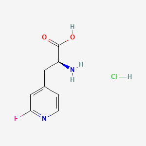 molecular formula C8H10ClFN2O2 B13542175 (2S)-2-amino-3-(2-fluoropyridin-4-yl)propanoicacidhydrochloride 