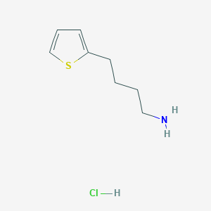 molecular formula C8H14ClNS B13542535 4-(Thiophen-2-yl)butan-1-aminehydrochloride 