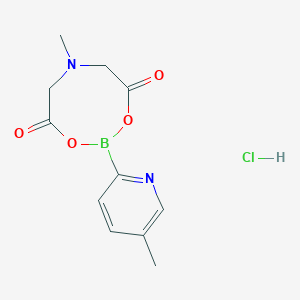 molecular formula C11H14BClN2O4 B13543023 6-Methyl-2-(5-methylpyridin-2-yl)-1,3,6,2-dioxazaborocane-4,8-dione hydrochloride 