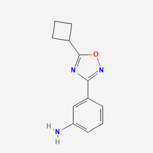 molecular formula C12H13N3O B13543556 3-(5-Cyclobutyl-1,2,4-oxadiazol-3-yl)aniline 