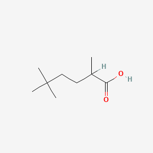 molecular formula C9H18O2 B1354412 2,5,5-trimethylhexanoic Acid CAS No. 53705-45-6