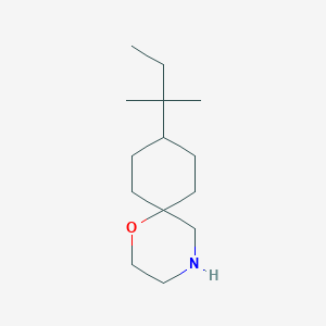 9-(Tert-pentyl)-1-oxa-4-azaspiro[5.5]undecane