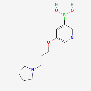 (5-(3-(Pyrrolidin-1-yl)propoxy)pyridin-3-yl)boronic acid