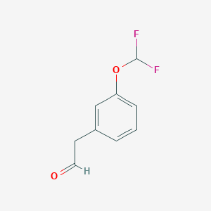 molecular formula C9H8F2O2 B13549684 2-(3-(Difluoromethoxy)phenyl)acetaldehyde 