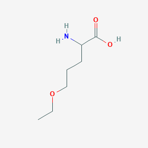 molecular formula C7H15NO3 B13550649 2-Amino-5-ethoxypentanoic acid 