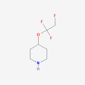 4-(1,1,2-Trifluoroethoxy)piperidine