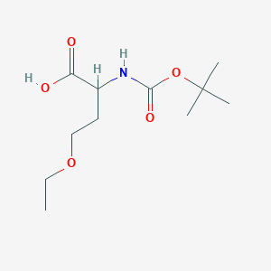 molecular formula C11H21NO5 B13554094 2-{[(Tert-butoxy)carbonyl]amino}-4-ethoxybutanoic acid 