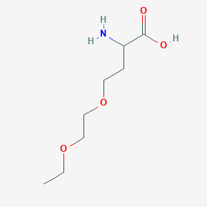 molecular formula C8H17NO4 B13555132 o-(2-Ethoxyethyl)homoserine 