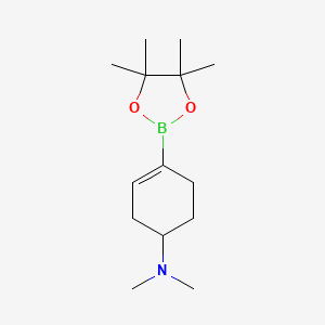 molecular formula C14H26BNO2 B13555797 N,N-dimethyl-4-(tetramethyl-1,3,2-dioxaborolan-2-yl)cyclohex-3-en-1-amine 