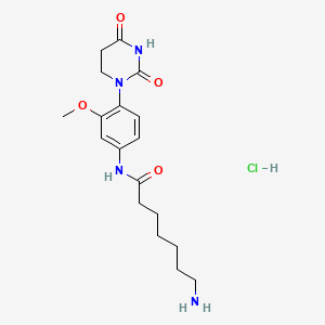 7-amino-N-[4-(2,4-dioxo-1,3-diazinan-1-yl)-3-methoxyphenyl]heptanamidehydrochloride