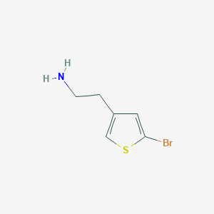 molecular formula C6H8BrNS B13555969 2-(5-Bromothiophen-3-yl)ethan-1-amine 