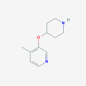 molecular formula C11H16N2O B13556503 4-Methyl-3-(piperidin-4-yloxy)pyridine 