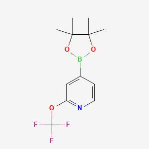 molecular formula C12H15BF3NO3 B13556865 4-(4,4,5,5-tetraMethyl-1,3,2-dioxaborolan-2-yl)-2-(trifluoroMethoxy)pyridine 