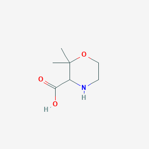 molecular formula C7H13NO3 B13557252 2,2-Dimethylmorpholine-3-carboxylic acid 