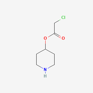 molecular formula C7H12ClNO2 B13557499 Piperidin-4-yl 2-chloroacetate 