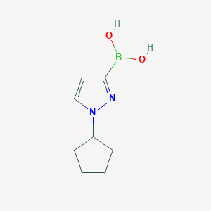 molecular formula C8H13BN2O2 B13557746 (1-cyclopentyl-1H-pyrazol-3-yl)boronic acid 