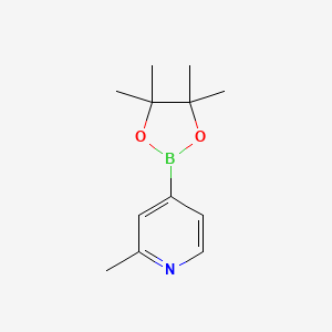 2-Methyl-4-(4,4,5,5-tetramethyl-1,3,2-dioxaborolan-2-yl)pyridine