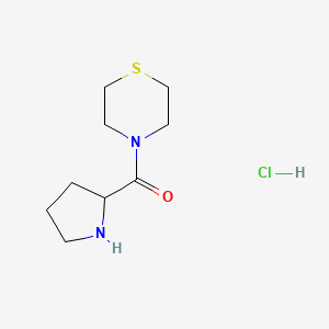 molecular formula C9H17ClN2OS B13558273 4-(Pyrrolidine-2-carbonyl)thiomorpholine hydrochloride CAS No. 1840511-51-4