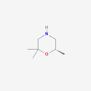 molecular formula C7H15NO B13558373 (S)-2,2,6-Trimethylmorpholine 