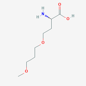 molecular formula C8H17NO4 B13558549 O-(3-Methoxypropyl)-L-homoserine 