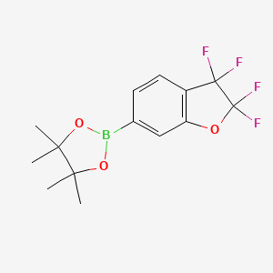 4,4,5,5-Tetramethyl-2-(2,2,3,3-tetrafluoro-2,3-dihydro-1-benzofuran-6-yl)-1,3,2-dioxaborolane