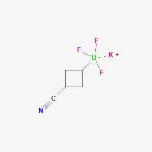 molecular formula C5H6BF3KN B13558960 Potassium (3-cyanocyclobutyl)trifluoroboranuide 