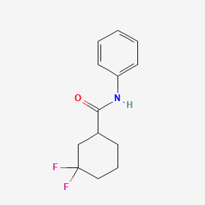 3,3-difluoro-N-phenylcyclohexane-1-carboxamide