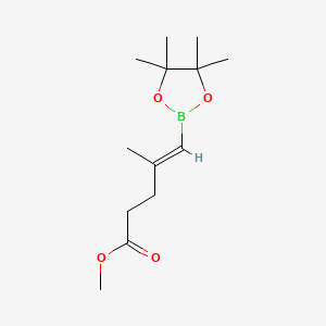 molecular formula C13H23BO4 B13559496 Methyl 4-methyl-5-(4,4,5,5-tetramethyl-1,3,2-dioxaborolan-2-yl)pent-4-enoate 