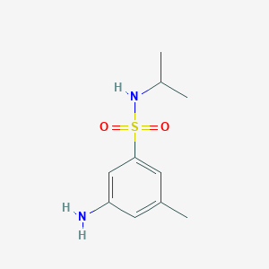 molecular formula C10H16N2O2S B13560099 3-Amino-n-isopropyl-5-methylbenzenesulfonamide 