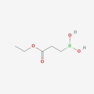 molecular formula C5H11BO4 B13560277 (3-Ethoxy-3-oxopropyl)boronic acid CAS No. 910248-12-3