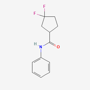 molecular formula C12H13F2NO B13560457 3,3-difluoro-N-phenylcyclopentane-1-carboxamide 