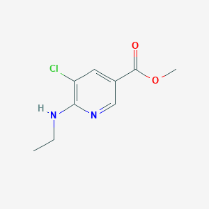 molecular formula C9H11ClN2O2 B13561589 Methyl 5-chloro-6-(ethylamino)pyridine-3-carboxylate 