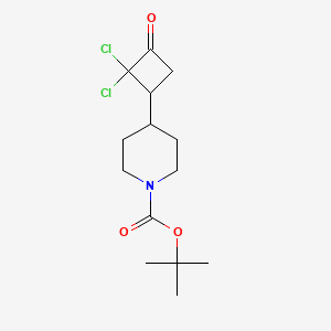 Tert-butyl 4-(2,2-dichloro-3-oxocyclobutyl)piperidine-1-carboxylate