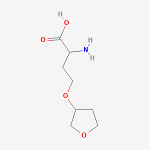 2-Amino-4-(oxolan-3-yloxy)butanoic acid