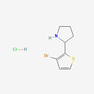 molecular formula C8H11BrClNS B13562151 2-(3-Bromothiophen-2-yl)pyrrolidinehydrochloride 