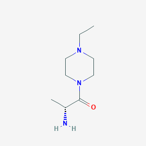 molecular formula C9H19N3O B13562160 (R)-2-Amino-1-(4-ethylpiperazin-1-yl)propan-1-one 