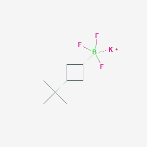 Potassium (3-(tert-butyl)cyclobutyl)trifluoroborate