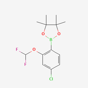 molecular formula C13H16BClF2O3 B13562367 2-(4-Chloro-2-(difluoromethoxy)phenyl)-4,4,5,5-tetramethyl-1,3,2-dioxaborolane 