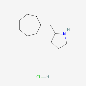 molecular formula C12H24ClN B13563278 2-(Cycloheptylmethyl)pyrrolidine hydrochloride 