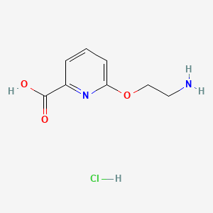 molecular formula C8H11ClN2O3 B13563384 6-(2-Aminoethoxy)pyridine-2-carboxylic acid hydrochloride 