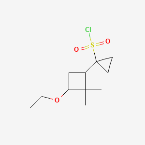 1-(3-Ethoxy-2,2-dimethylcyclobutyl)cyclopropane-1-sulfonyl chloride