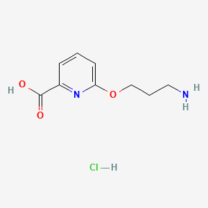 molecular formula C9H13ClN2O3 B13563582 6-(3-Aminopropoxy)pyridine-2-carboxylicacidhydrochloride 