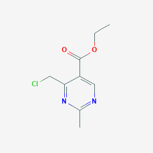 molecular formula C9H11ClN2O2 B13564032 Ethyl4-(chloromethyl)-2-methylpyrimidine-5-carboxylate 