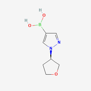 {1-[(3R)-oxolan-3-yl]-1H-pyrazol-4-yl}boronic acid